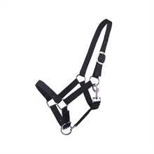 QHP halster jaarling